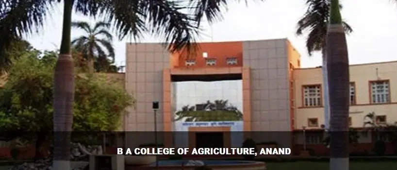ba-college-of-agriculture_001.jpg