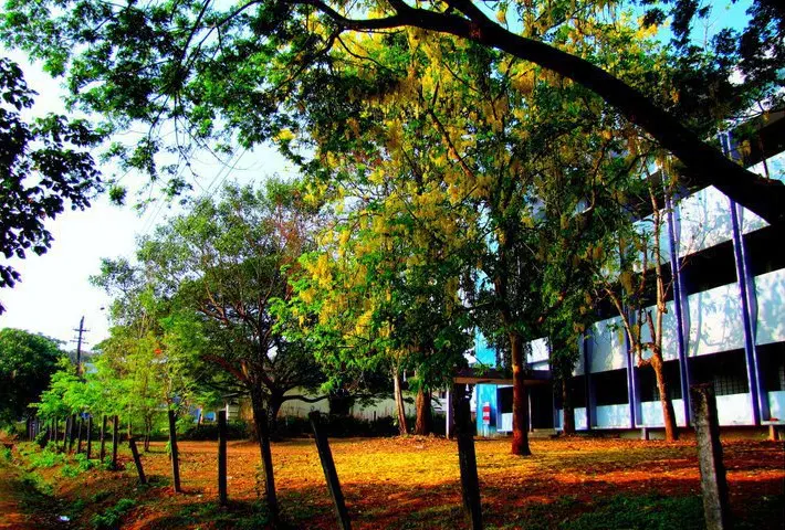 cochin-university-of-science-and-technology-school-of-legal-studies-sls_001.png