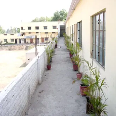 Photos