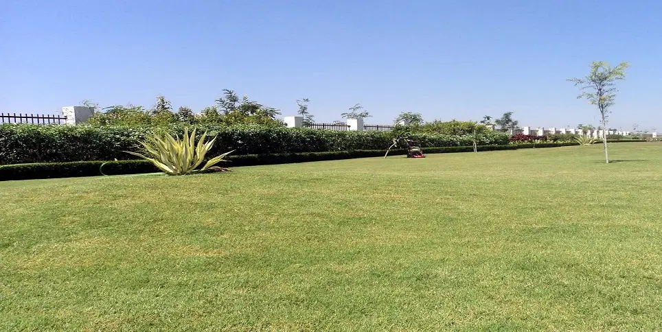 360° View