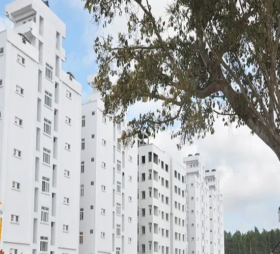 360° View