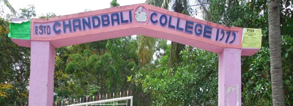 chandbali-college_001.jpg