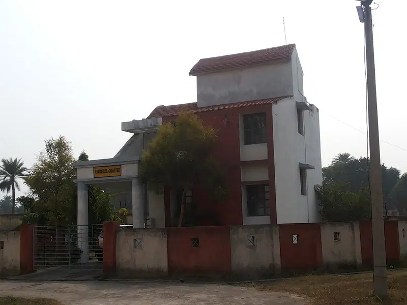 Photos