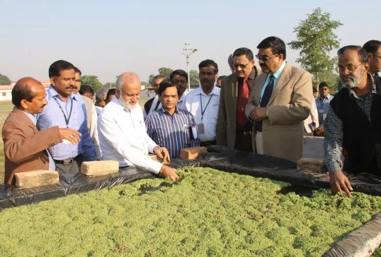 indian-grassland-and-fodder-research-institute-igfri_001.jpg