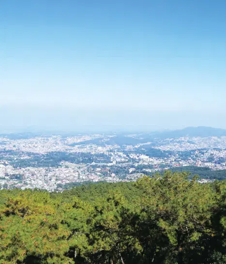 360° View