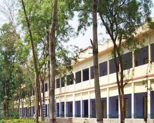 saldiha-college_001.png