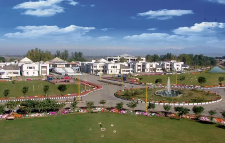 360° View
