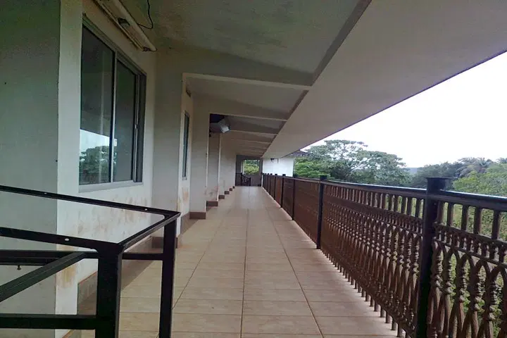 Photos
