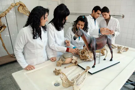 college-of-veterinary-sciences_001.png