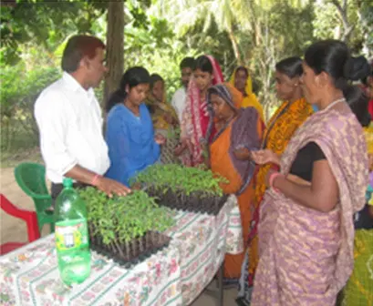 directorate-of-research-on-women-in-agriculture-icar_001.png