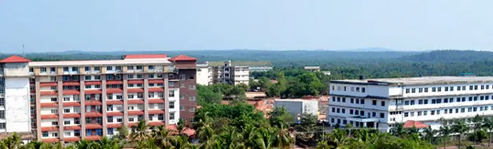 360° View