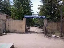 360° View