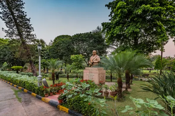 360° View