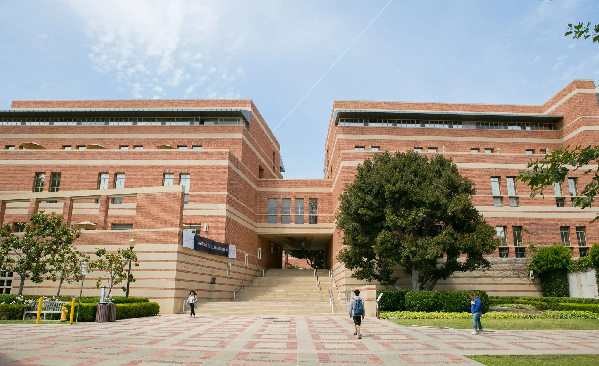Anderson School of Management