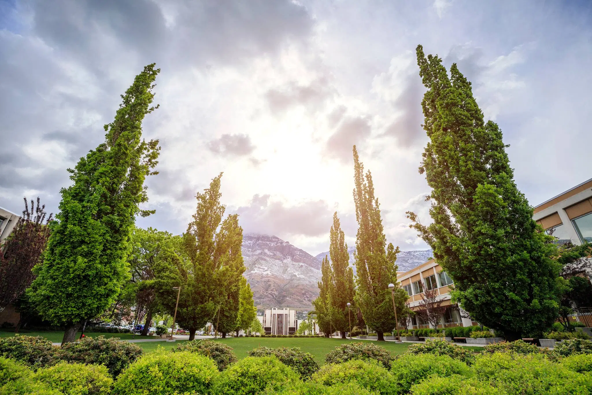 Brigham Young University