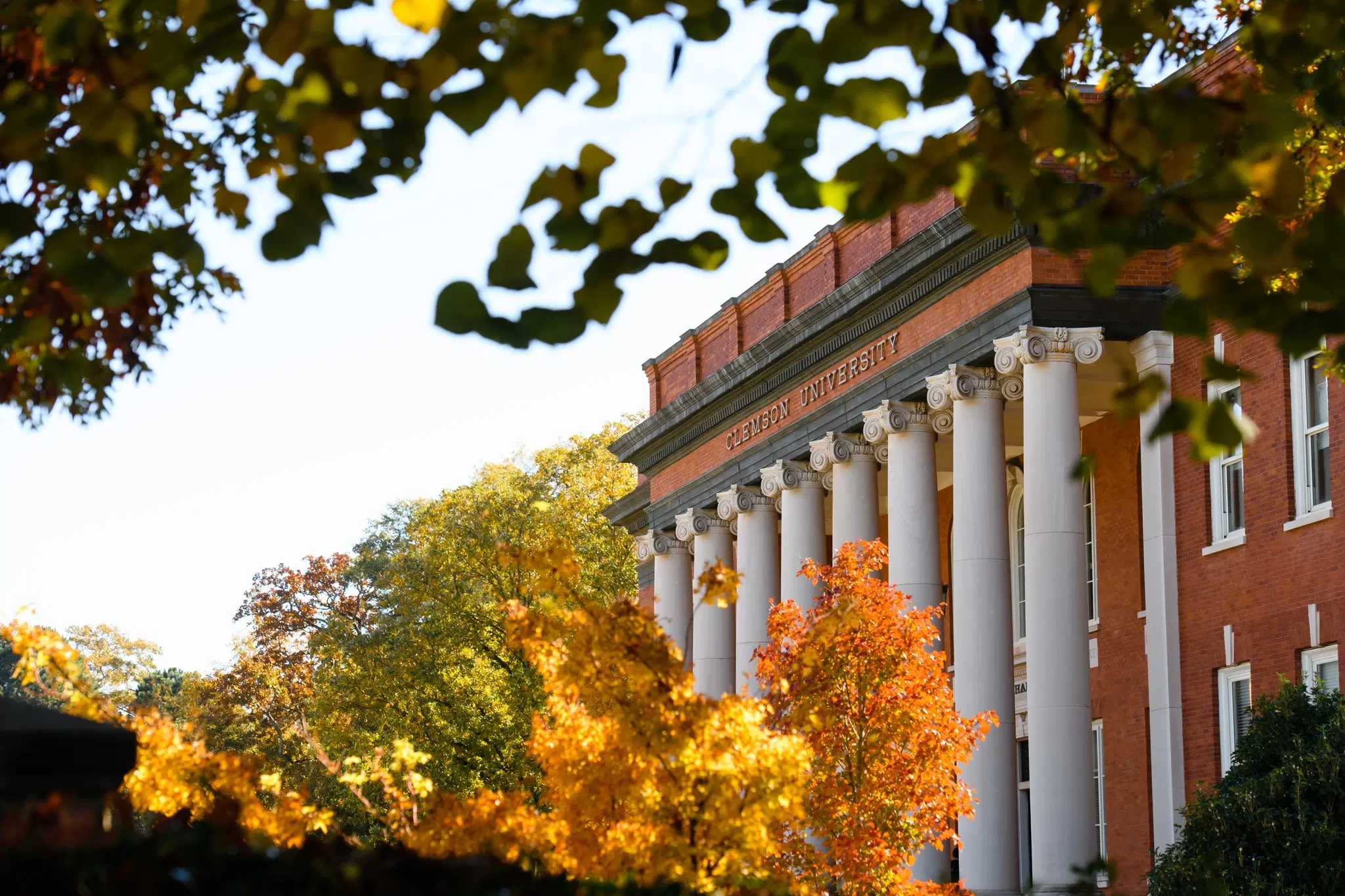 Clemson University