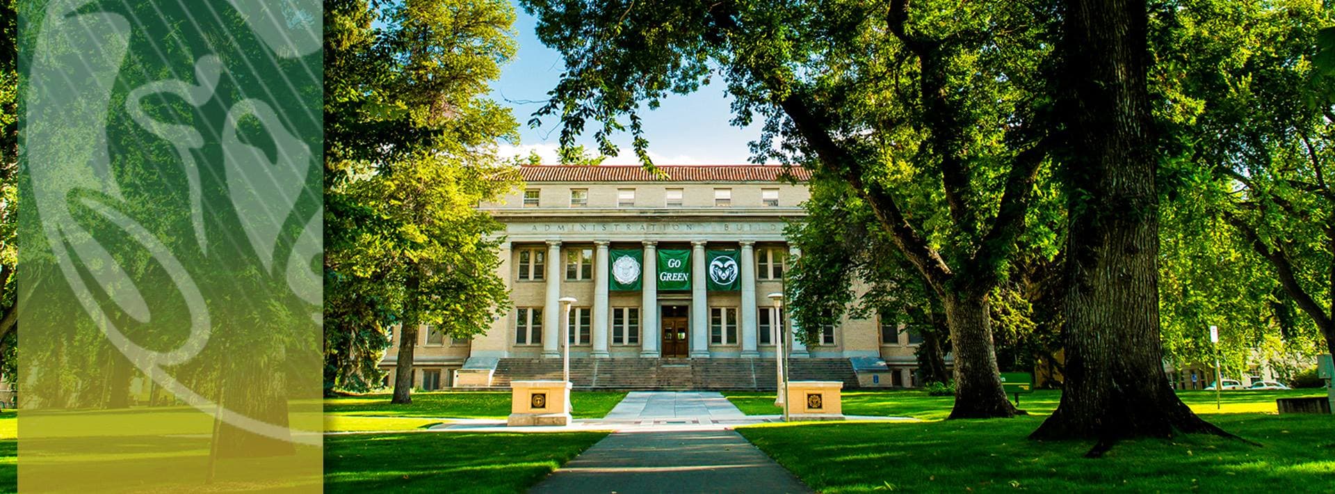 Colorado State University