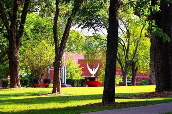 Cumberland University