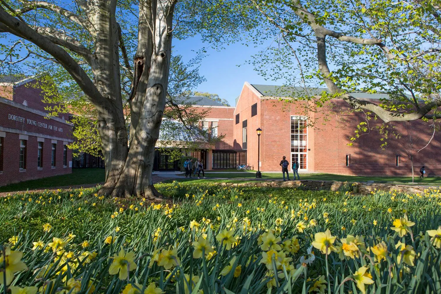Drew University