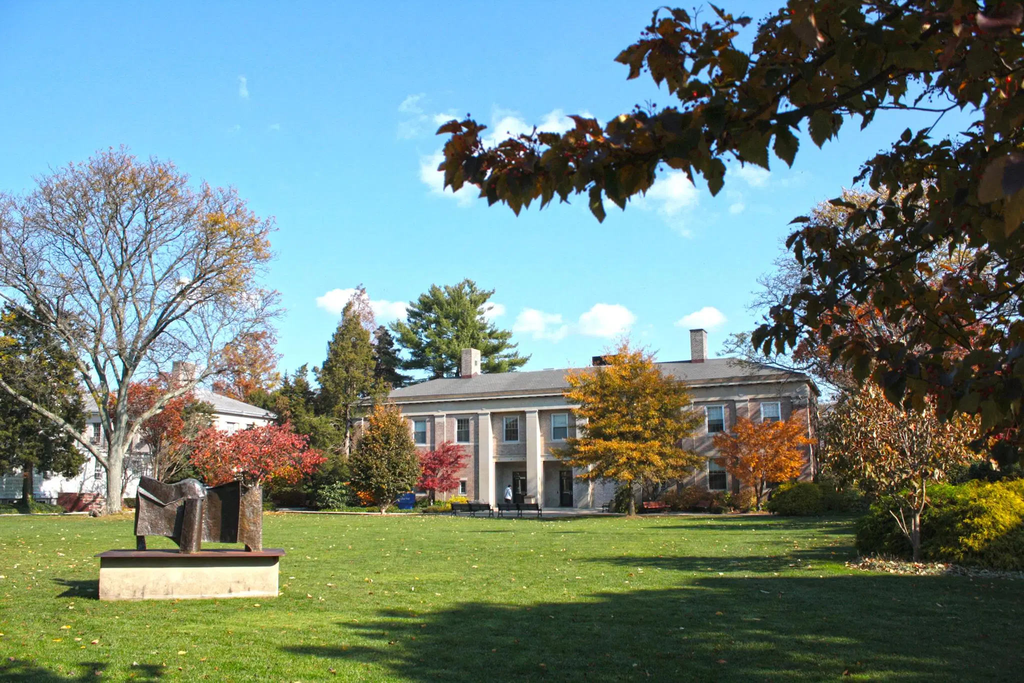 Hofstra University
