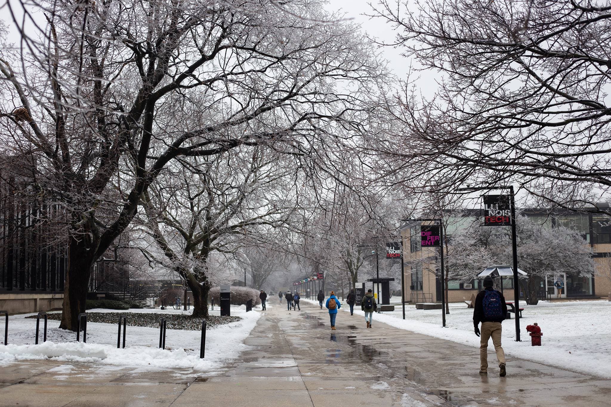 Illinois Institute of Technology