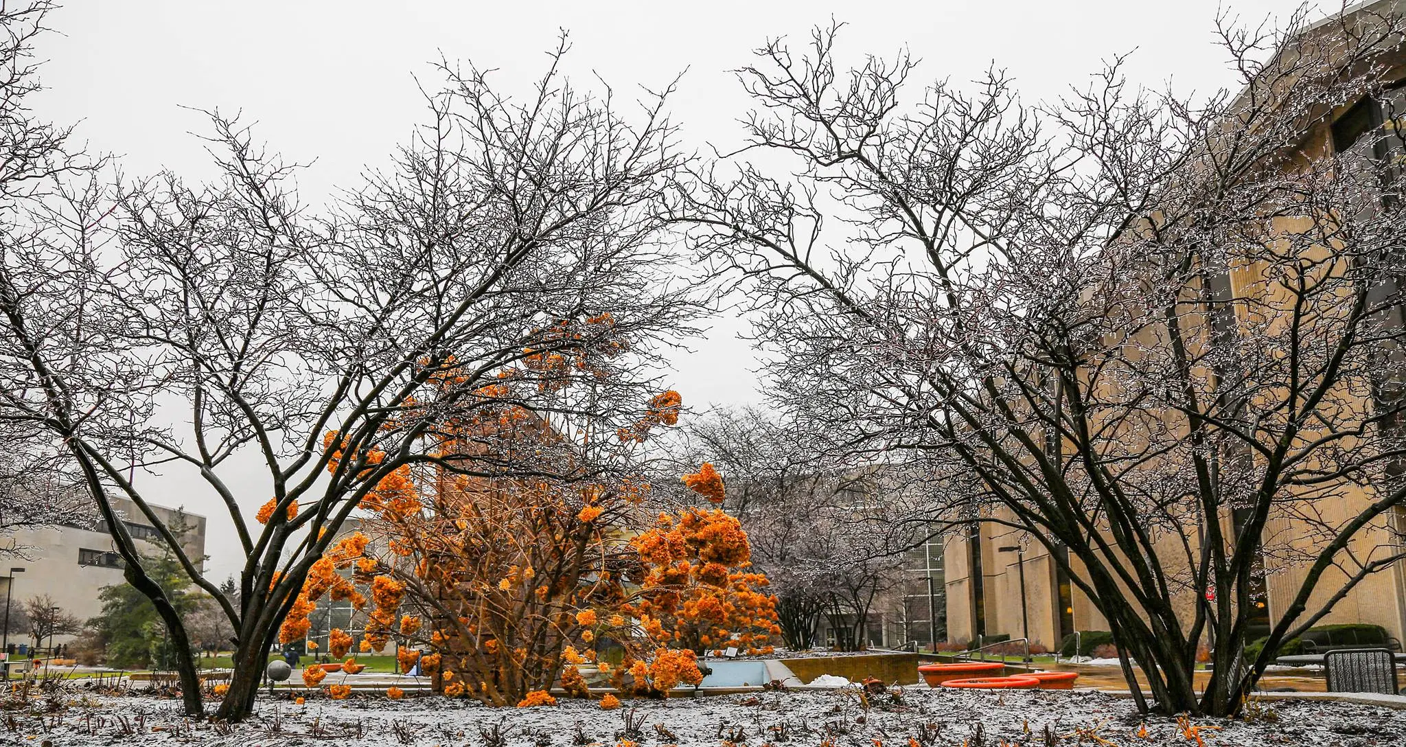 Indiana University Northwest