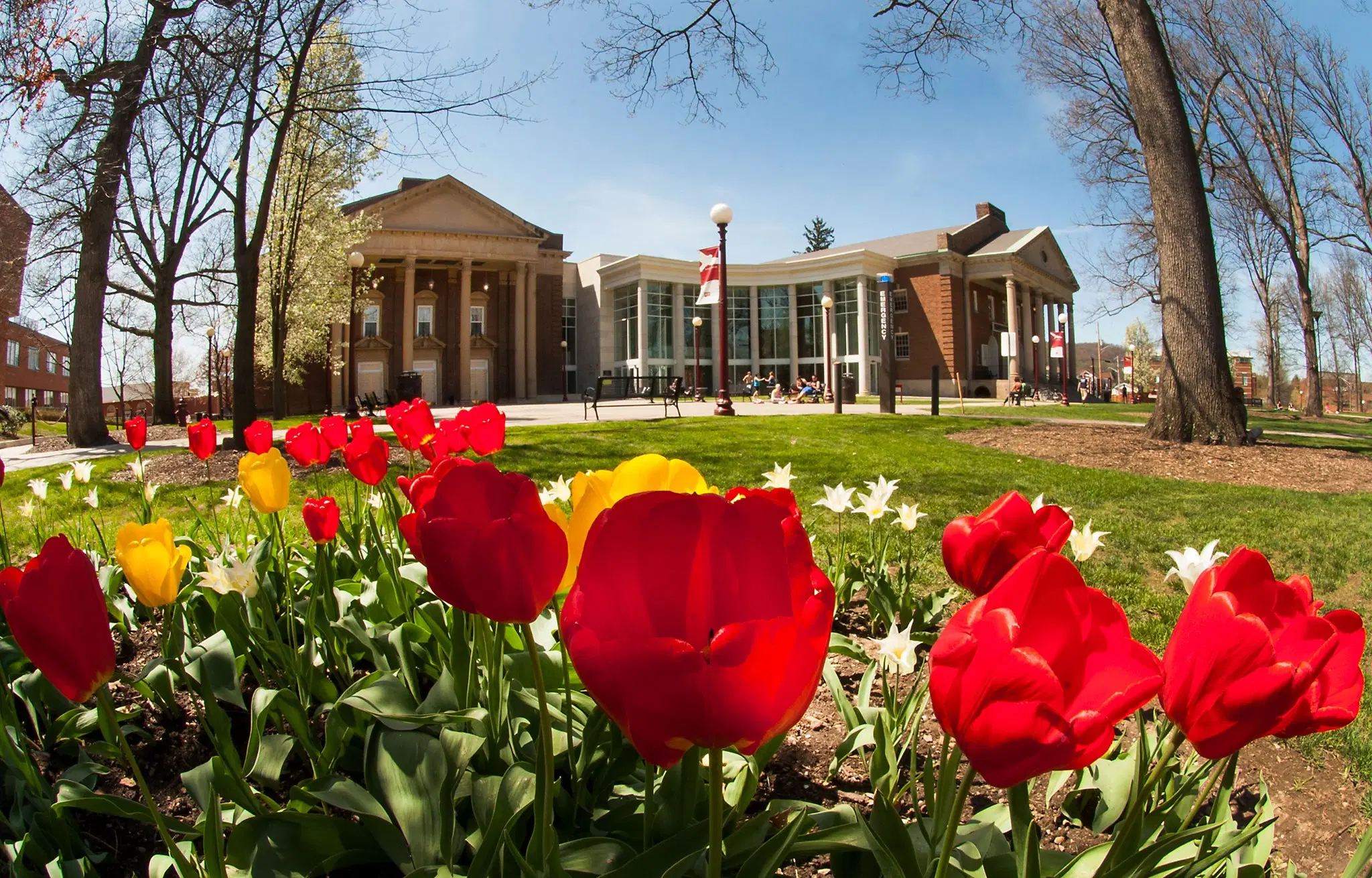 Indiana University of Pennsylvania