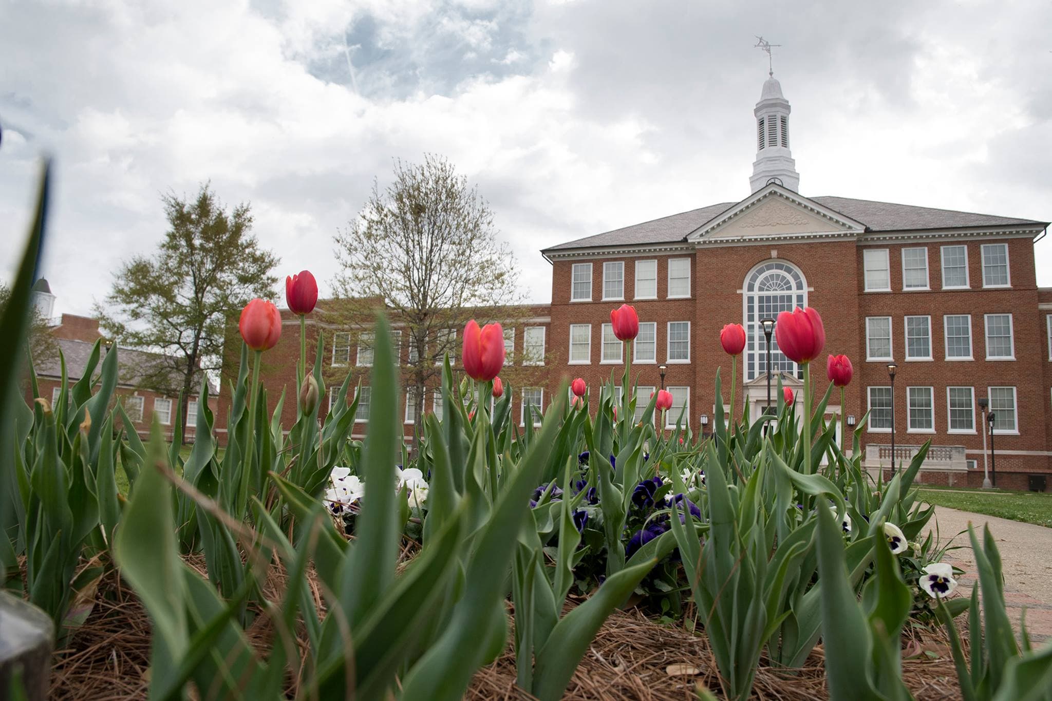 Louisiana Tech University