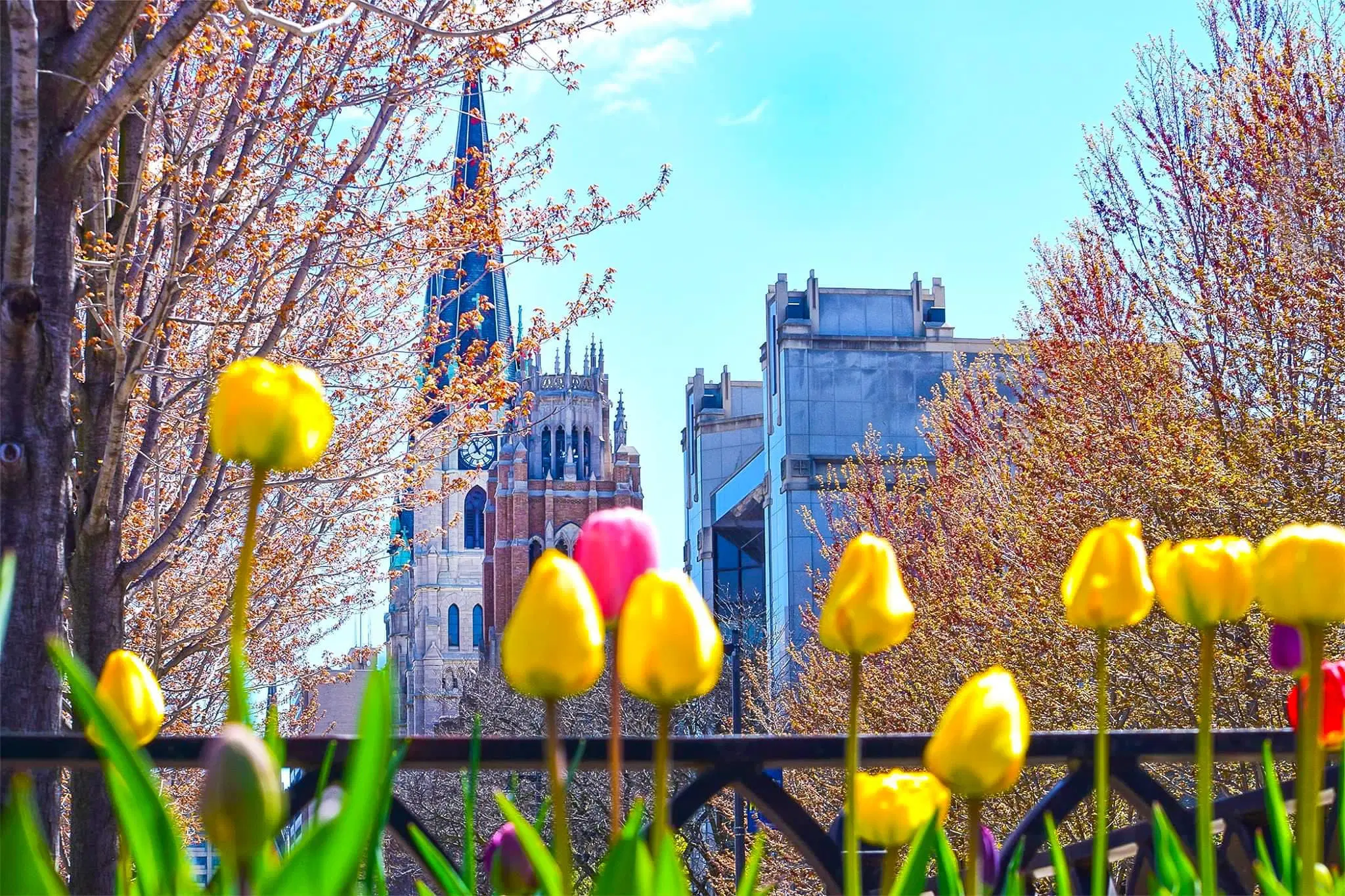 Marquette University
