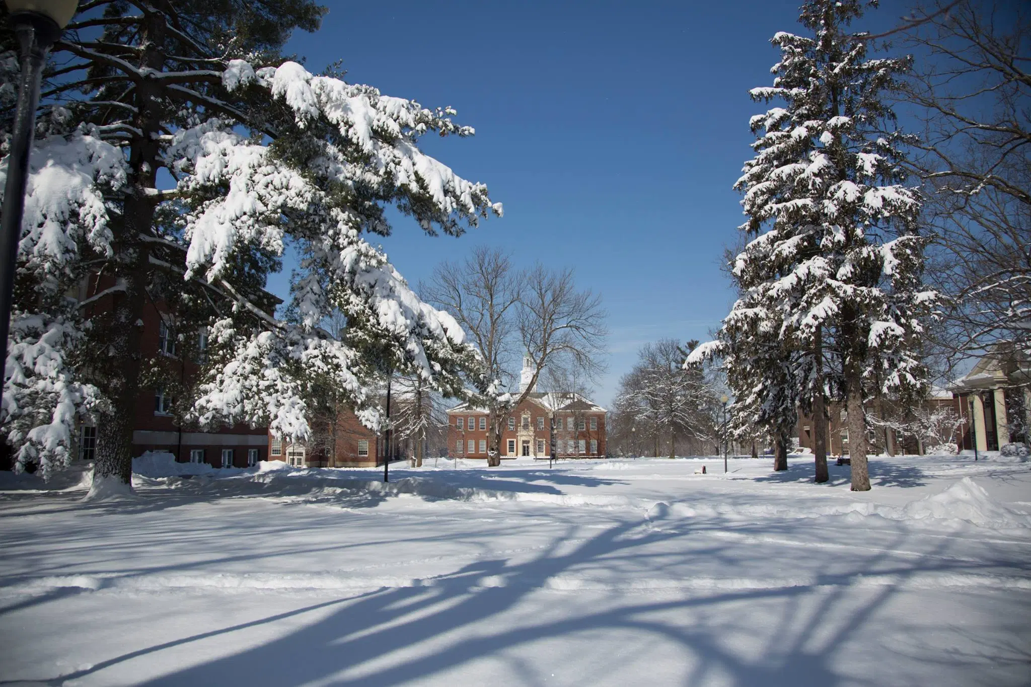 Midway University
