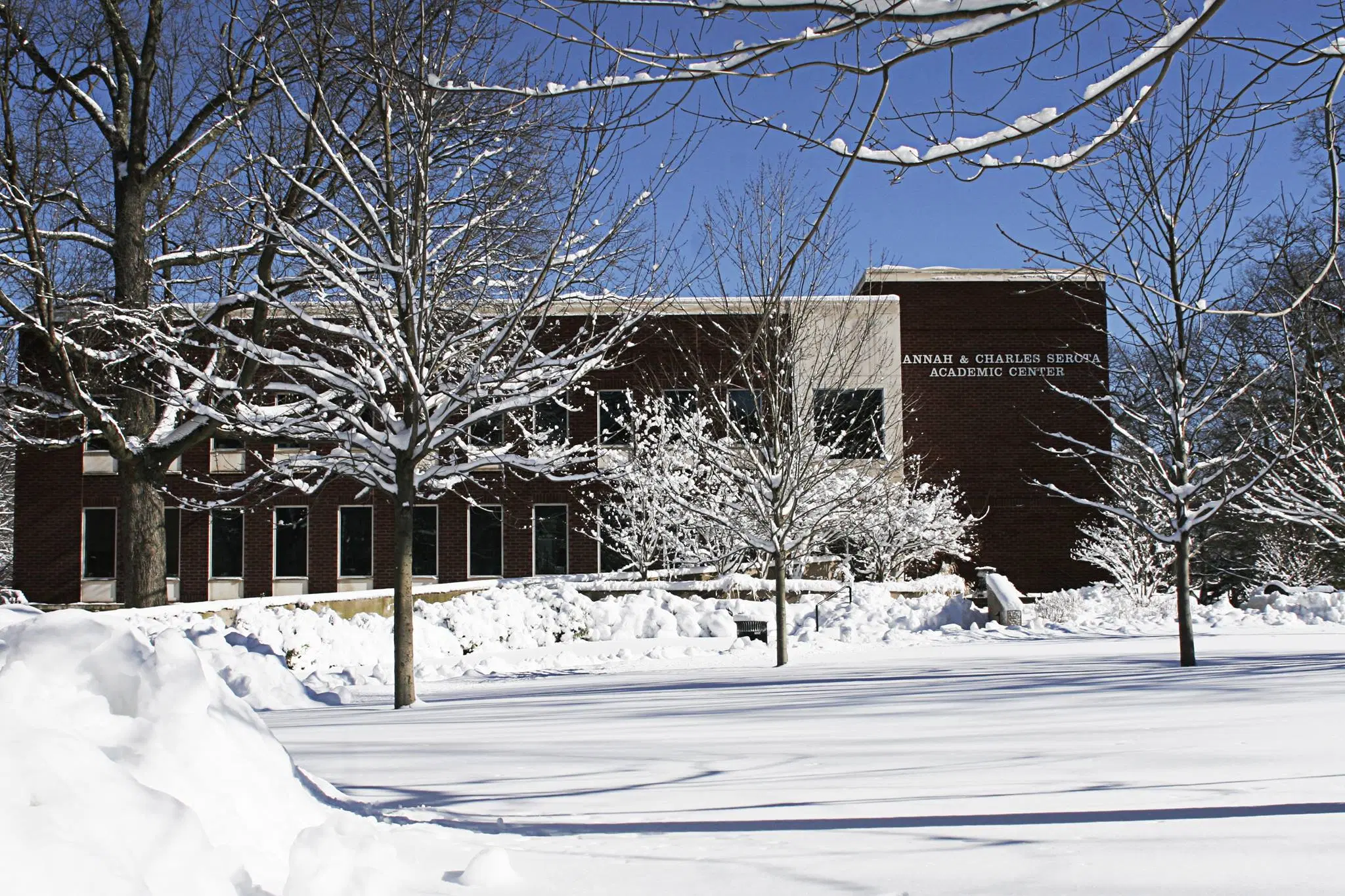 New York Institute of Technology
