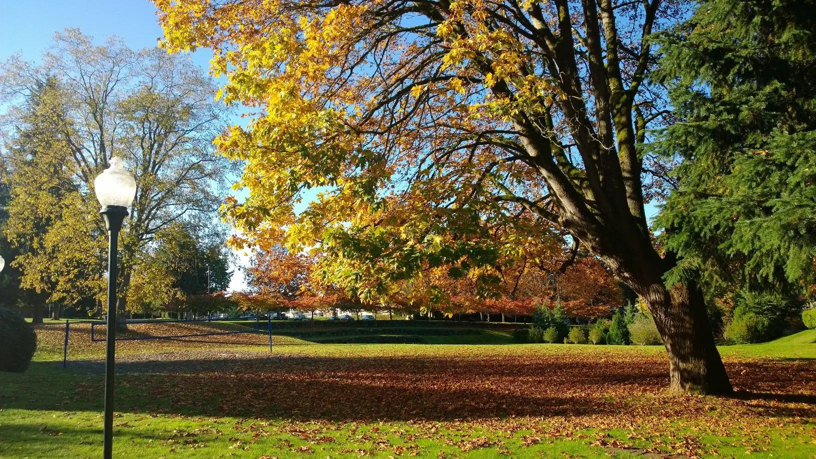 Northwest University