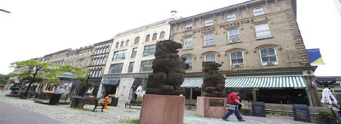 NSCAD University