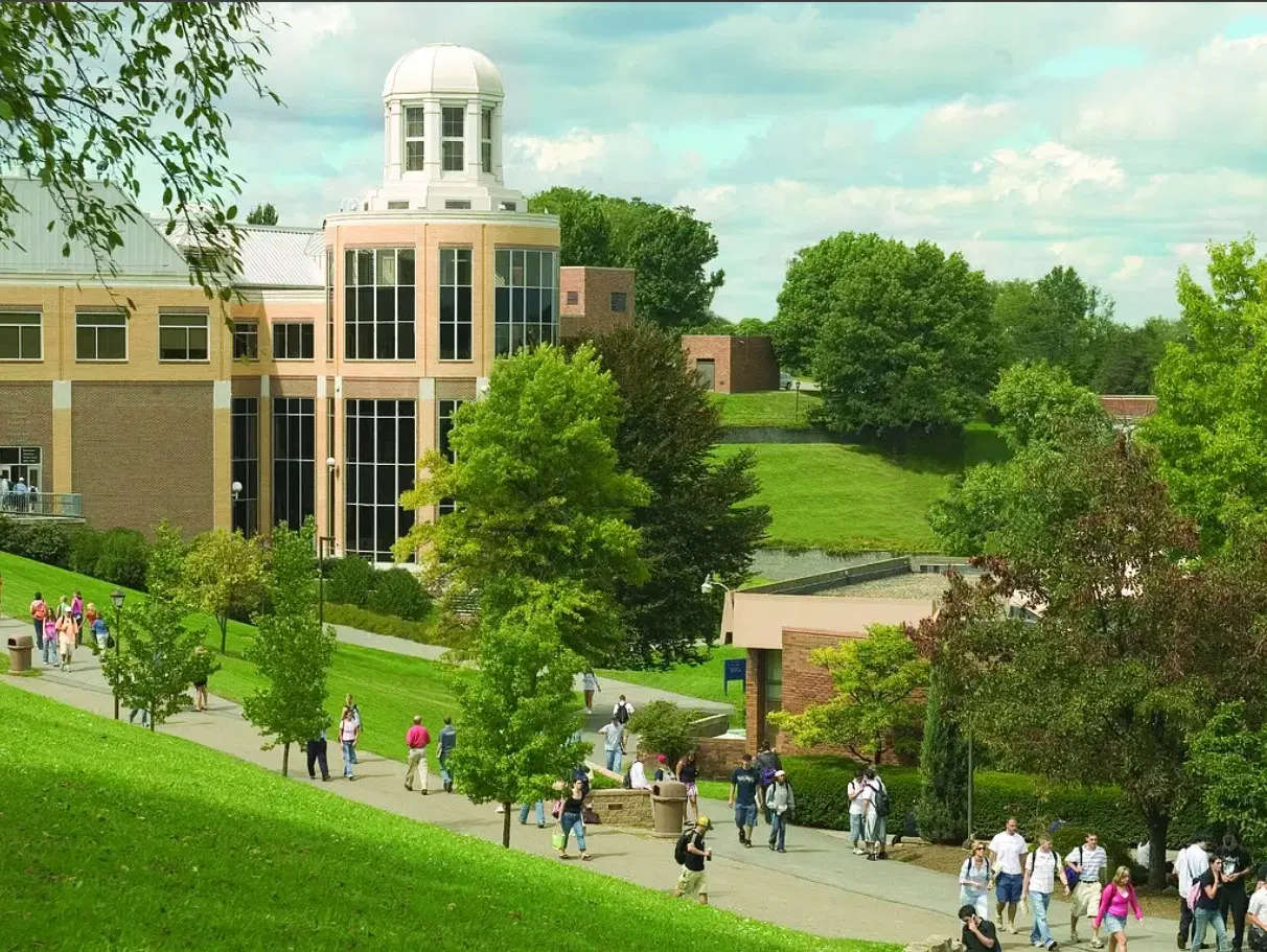 Robert Morris University - Illinois