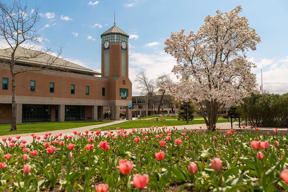 Roger Williams University