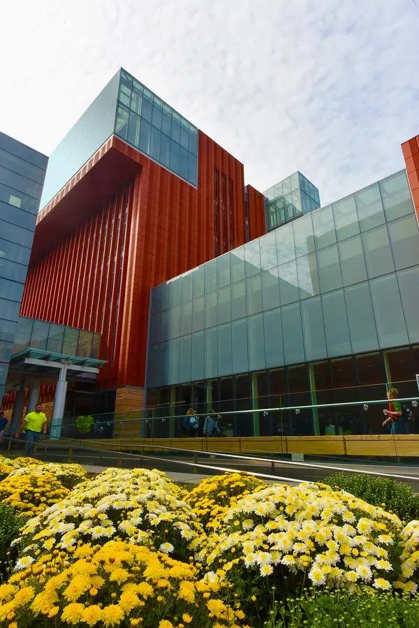 Ross School of Business