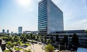Rotterdam School of Management, Erasmus University (RSM)