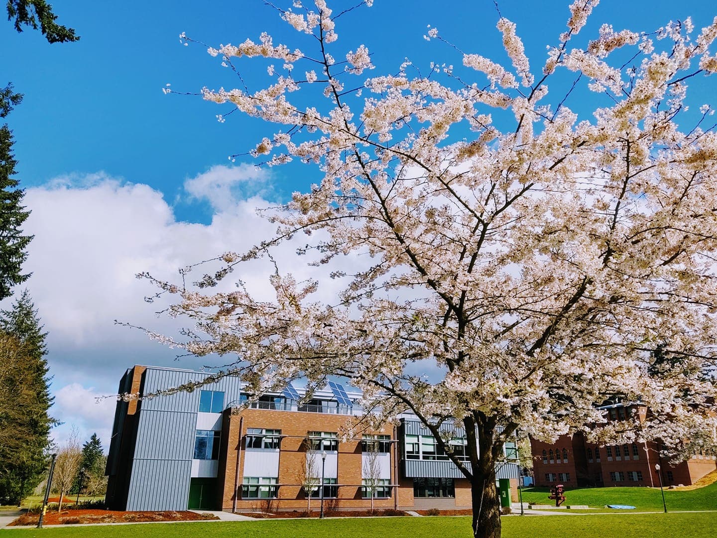 Saint Martin's University