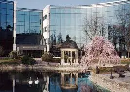 Salus University
