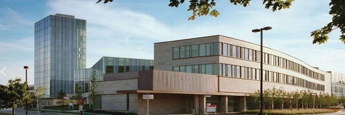 Schulich School of Business