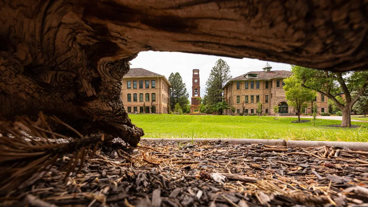 Southern Utah University