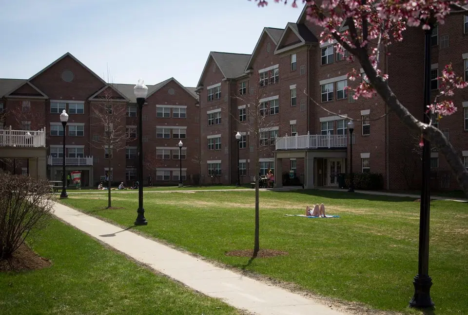 Stevenson University