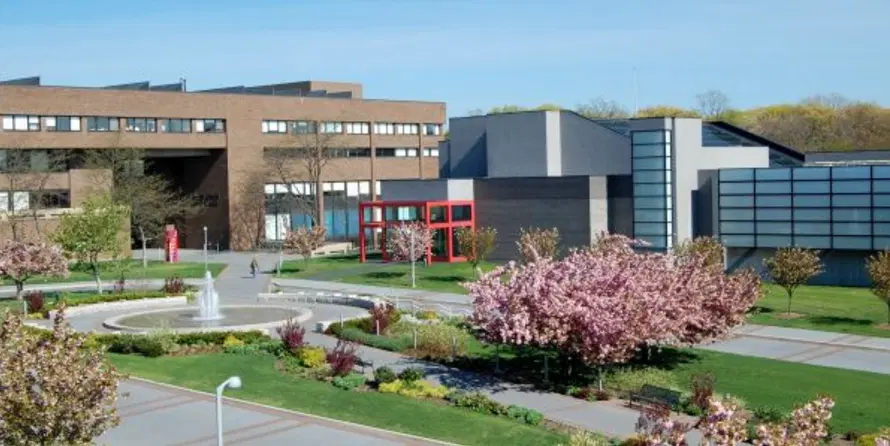 Stony Brook University