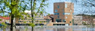 Umea University