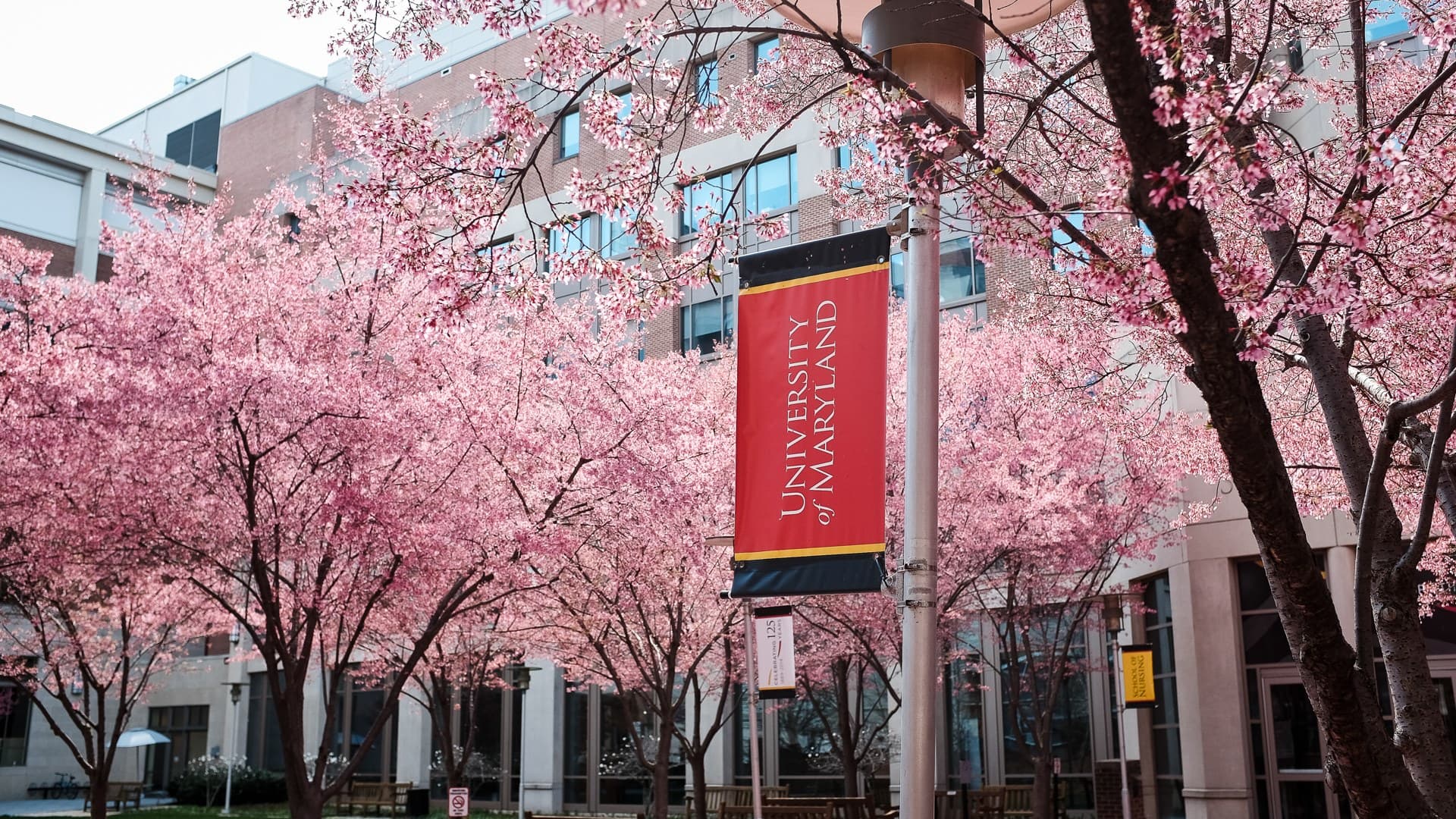 University of Maryland