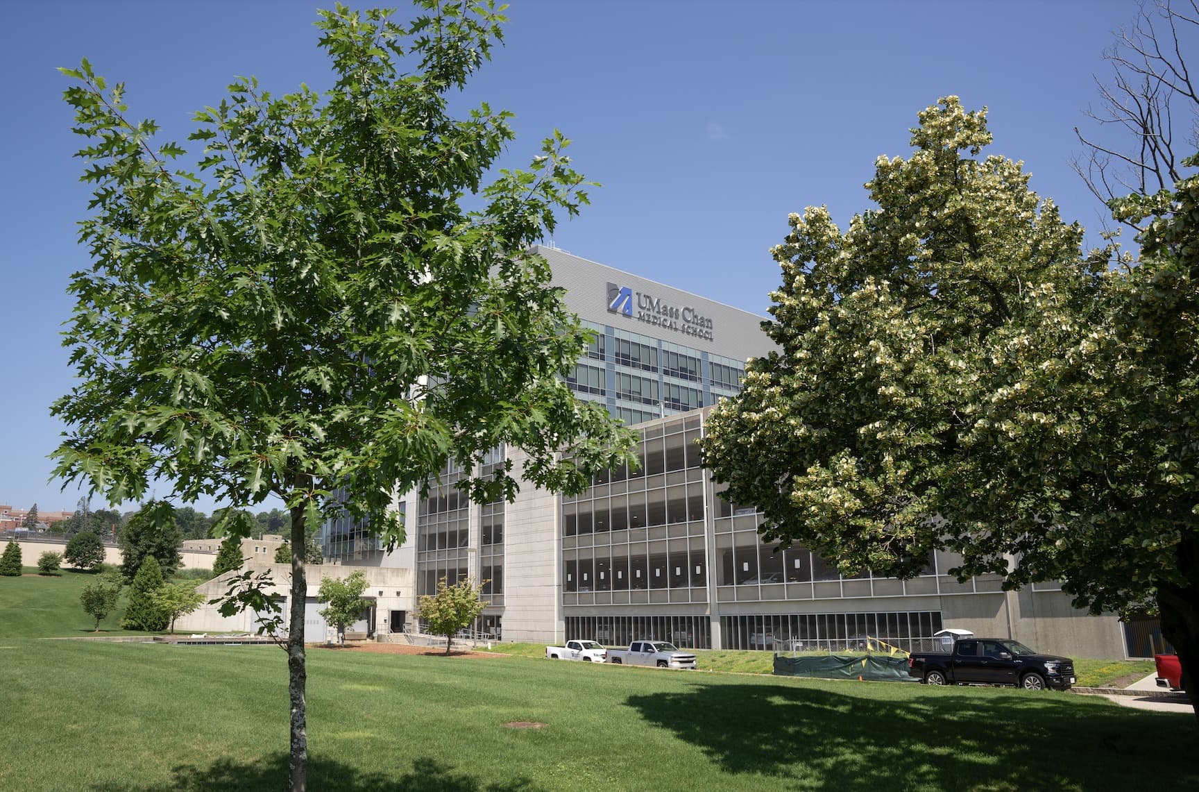 University of Massachusetts