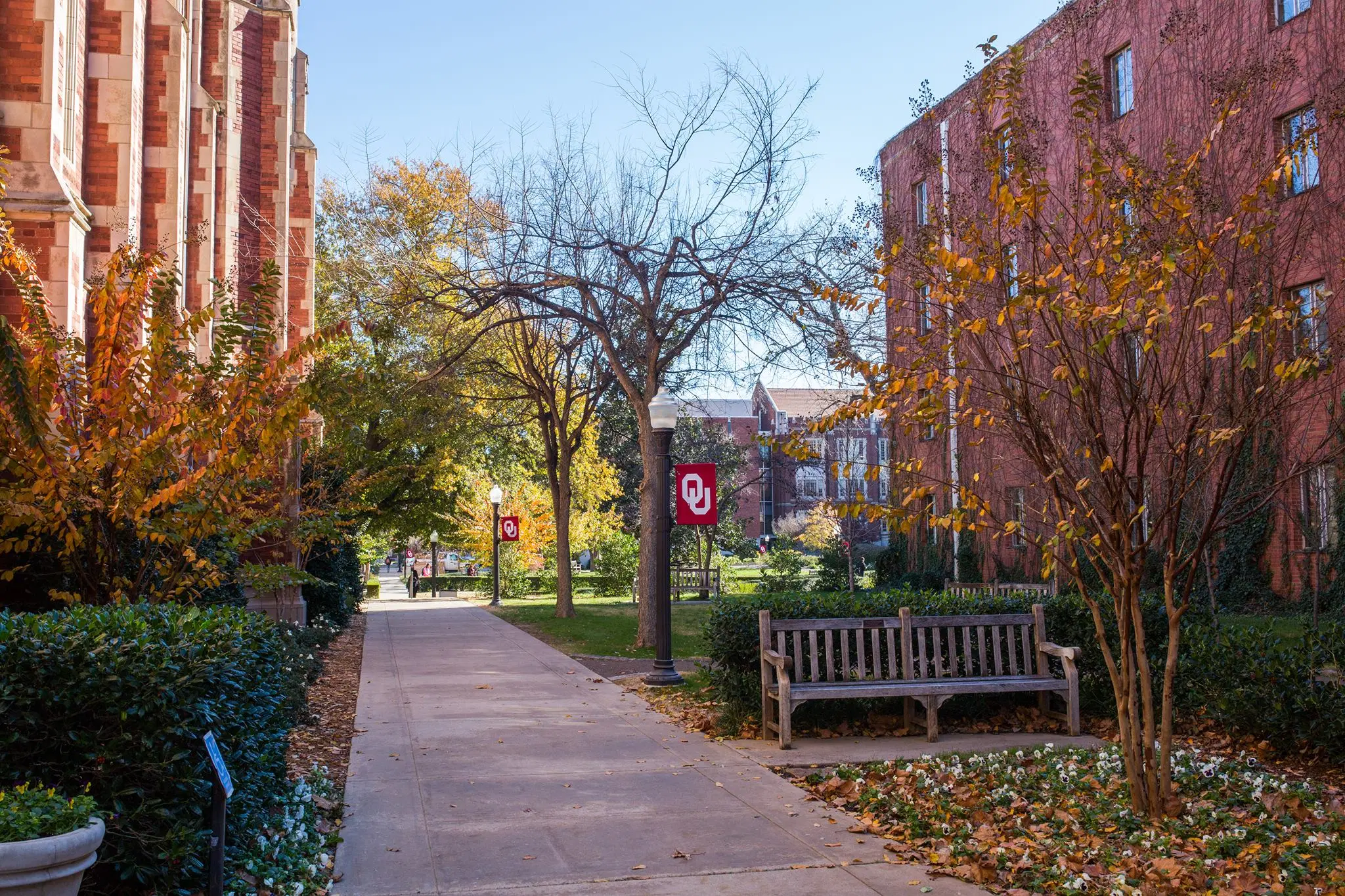 University of Oklahoma