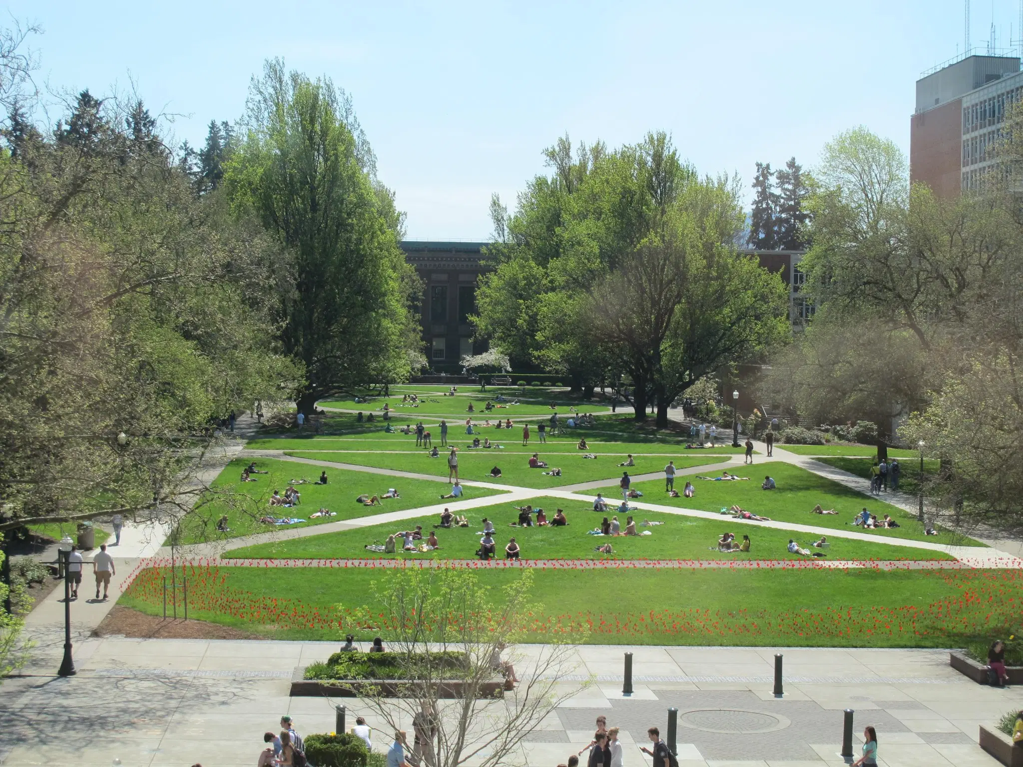 University of Oregon