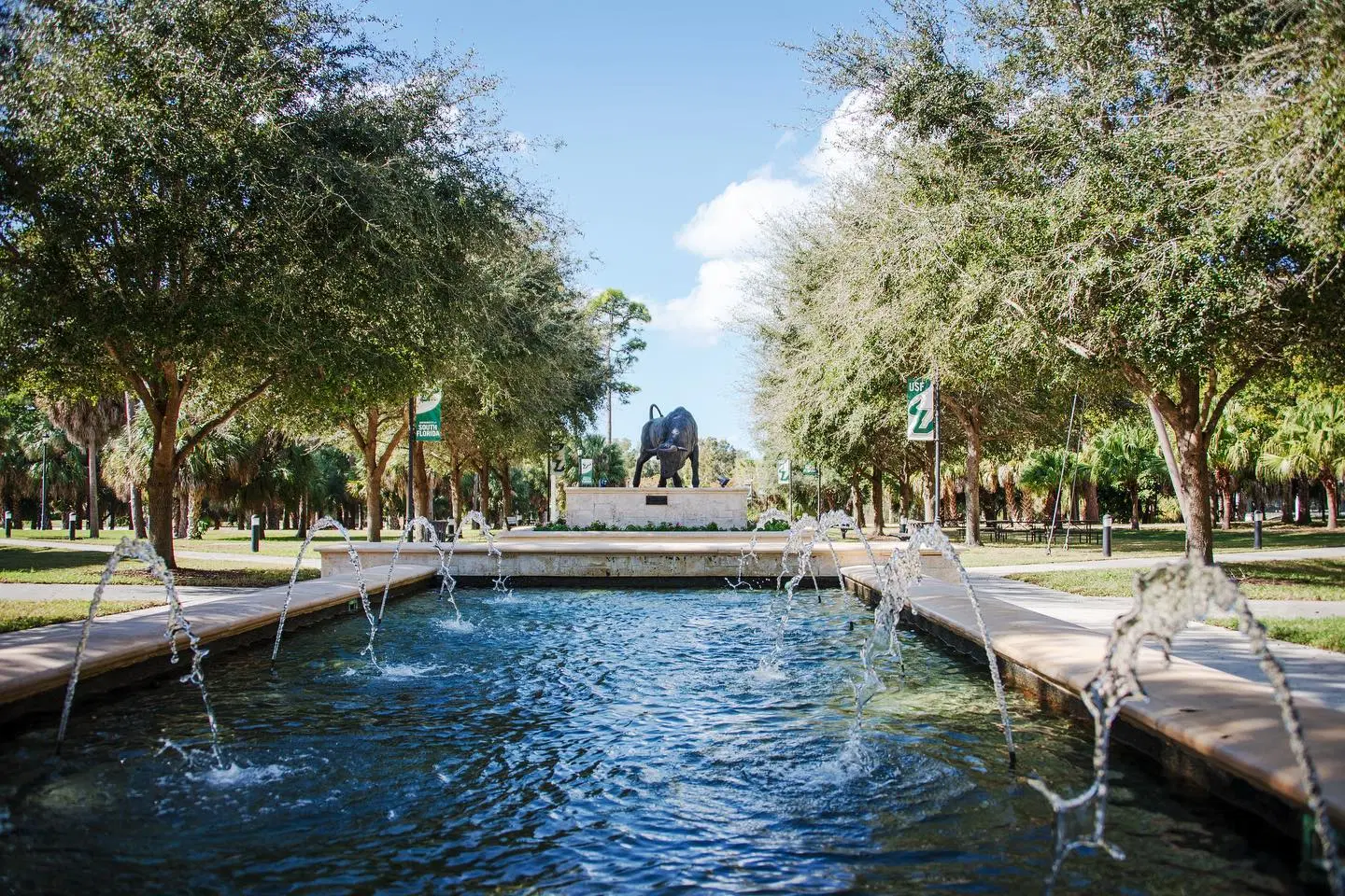 University of South Florida - Sarasota-Manatee