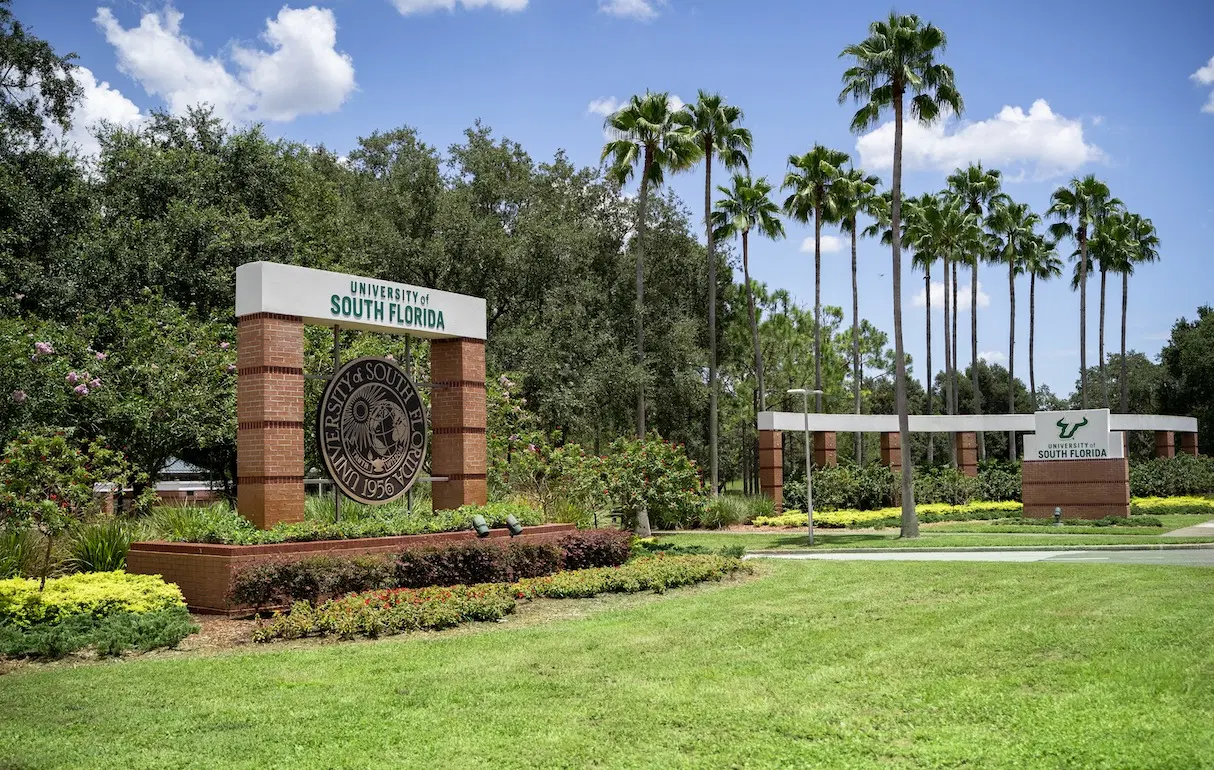 University of South Florida